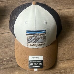 Patagonia Trucker Hat